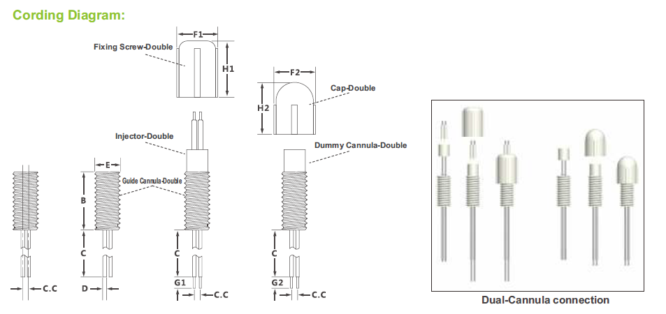 double cannula 2