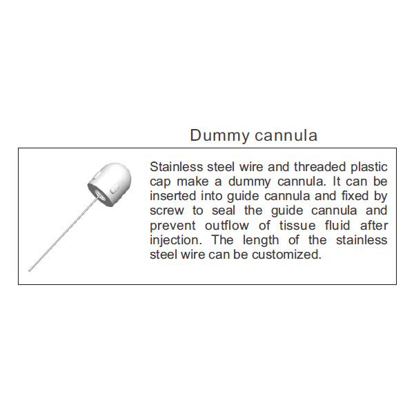 dummy-cannula