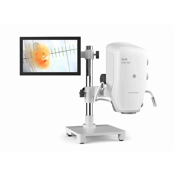 operating microscope