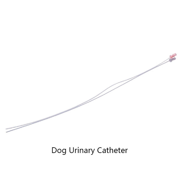 Urinary Catheter