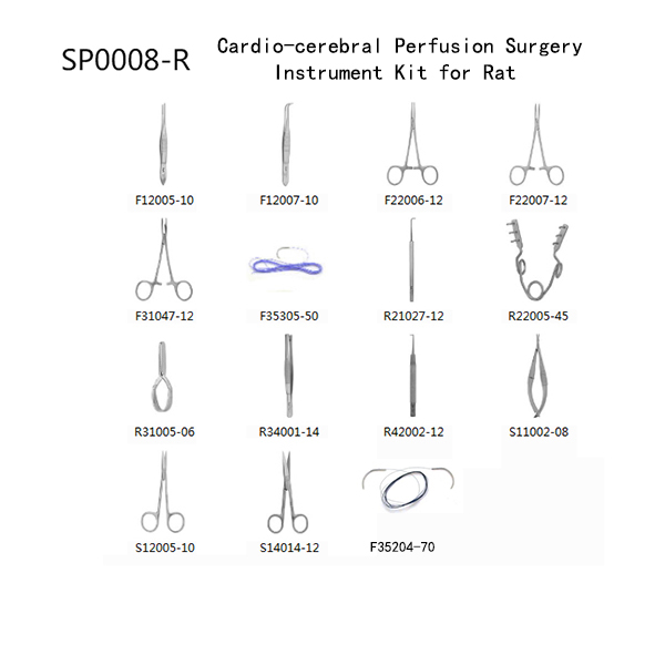 SP0008 R