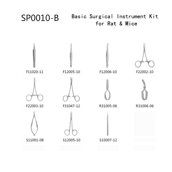 SP0010 B