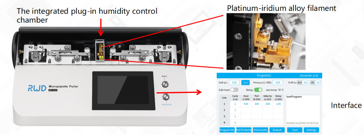 Electrophysiology (patch clamp)