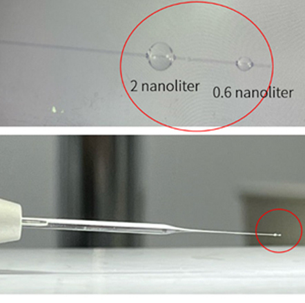 RWD microinjection soultion