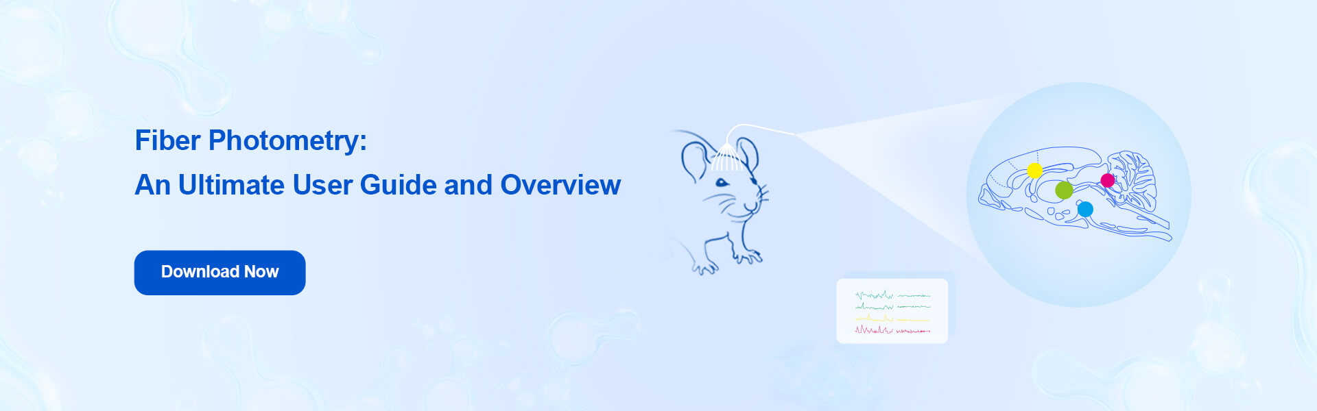 fiber photometry guide