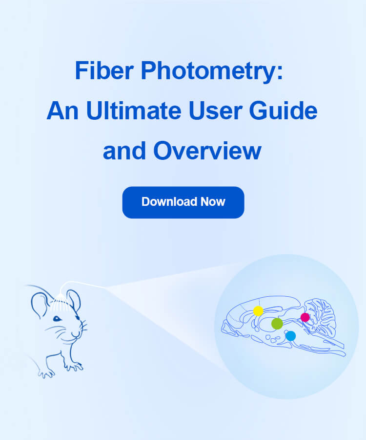 fiber photometry