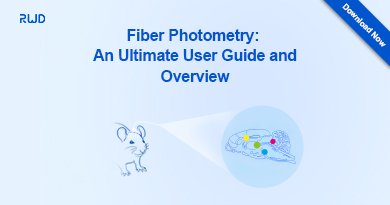 rwd fiber photometry user guide and overview