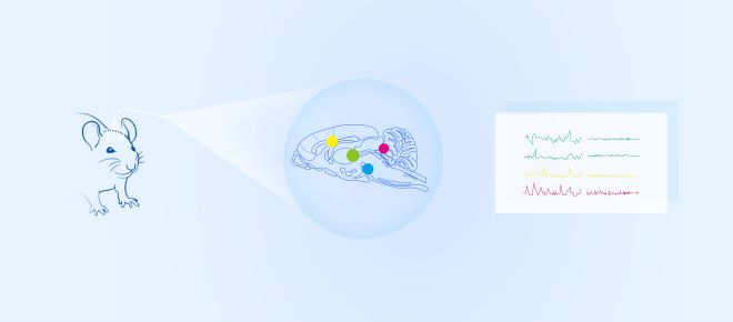 fiber photometry priciple