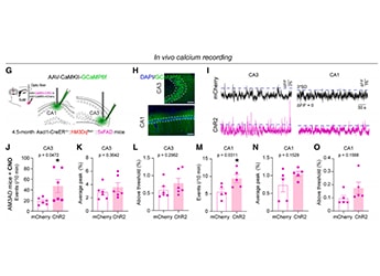 Fiber Photometry System-success-case-1