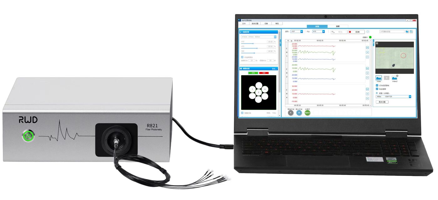 R821 Fiber photometry system 1