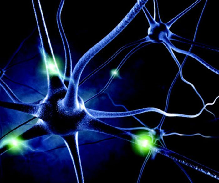 Application of Fiber Photometry in the Study of Neurological Disorders
