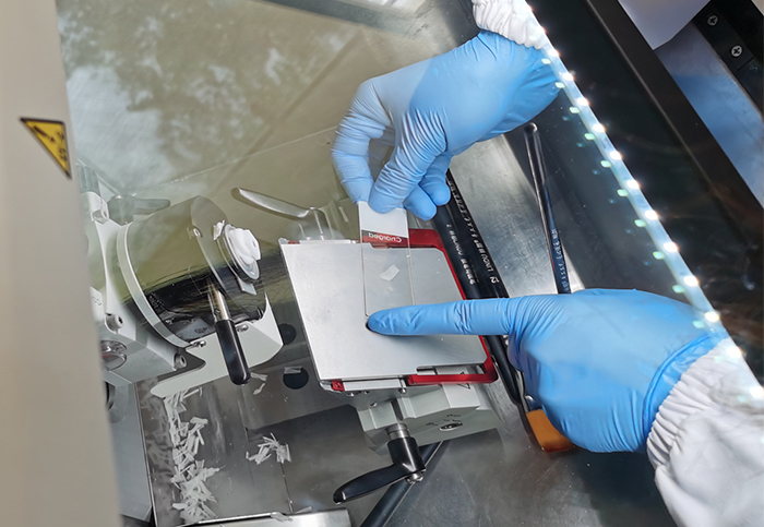 cryosectioning protocol with RWD cryostat