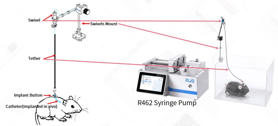 Vascular Infusion and Sampling System for Small Animals