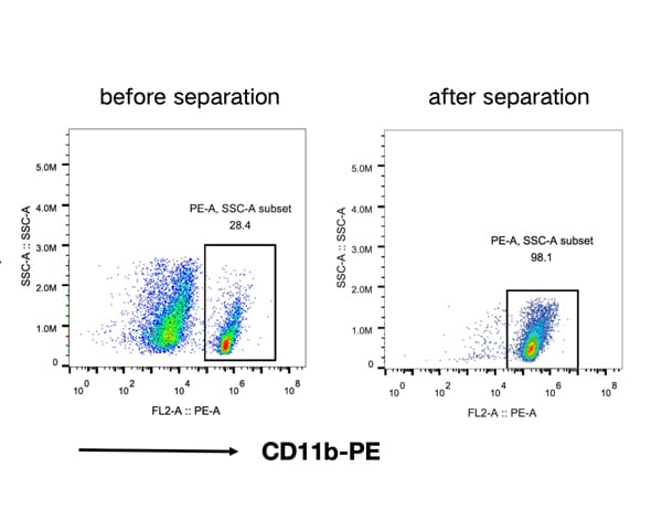 CD11b+ (Microglia) cell separation Kit