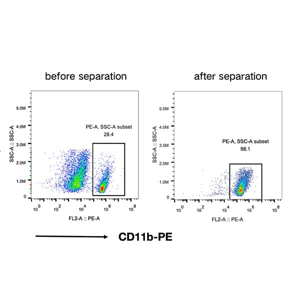 CD11b+ (Microglia) cell separation Kit