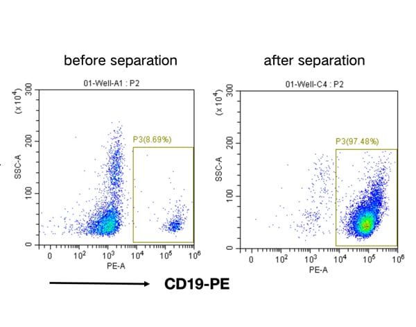 Human CD19+ Cell Separation Kit(RUO)