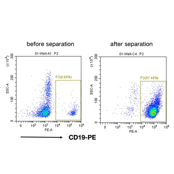 K1206-10 Human CD19+ Cell Separation Kit Column-based Positive User Manual