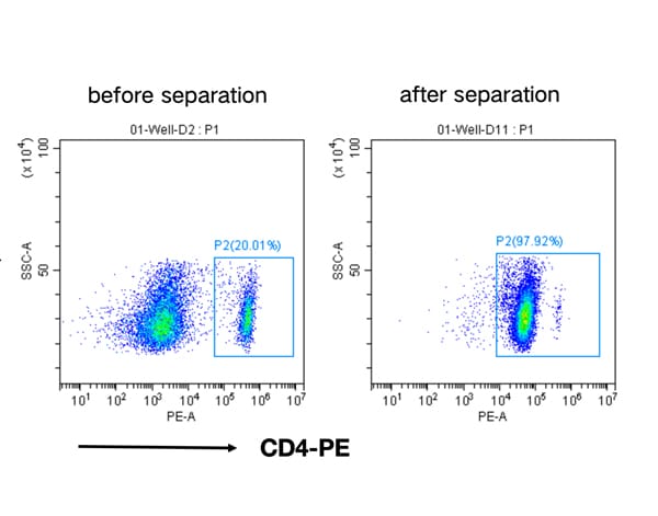 Mouse CD4+ Cell Separation Kit