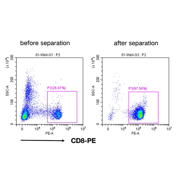 Human CD8+ Cell Separation Kit(RUO)