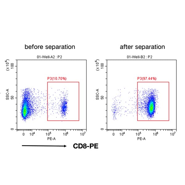Mouse CD8+ Cell Separation Kit
