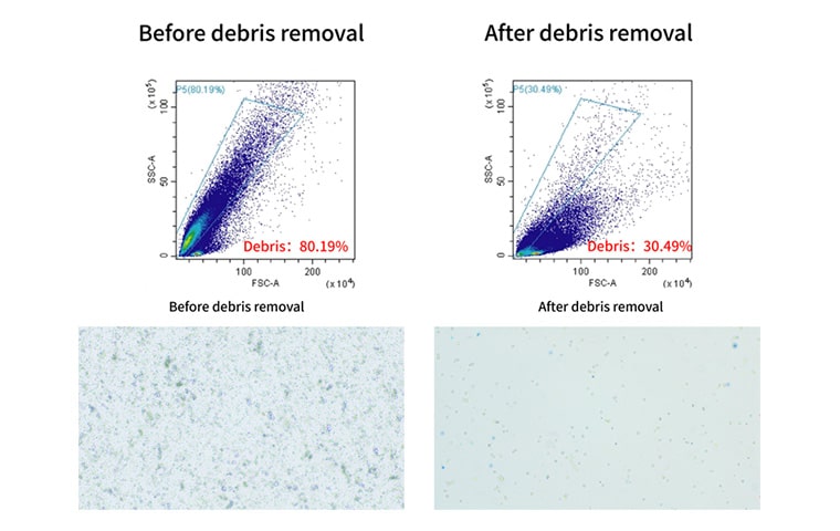 The background of the cell suspension is clean with few debris.