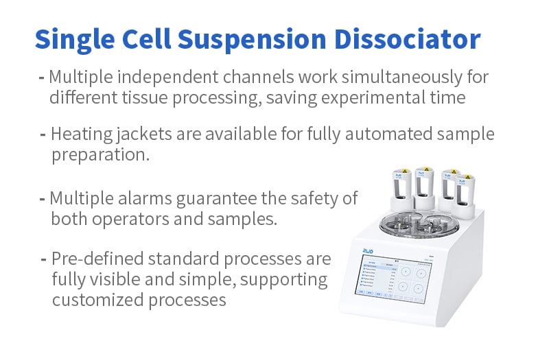 Single-cell Suspension Preparation Methods for Single-Cell Sequencing of Rabbit Adipose Tissue