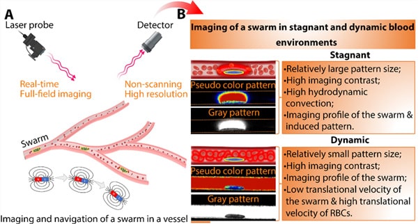 New breakthrough in micro/nanorobots! 