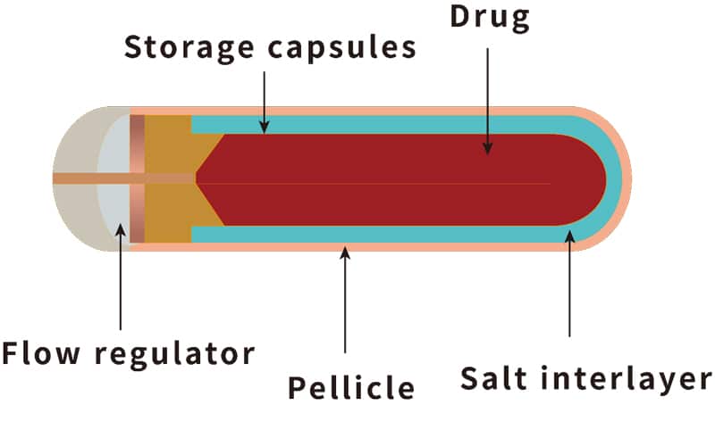 Structural diagram of RWD osmotic pump