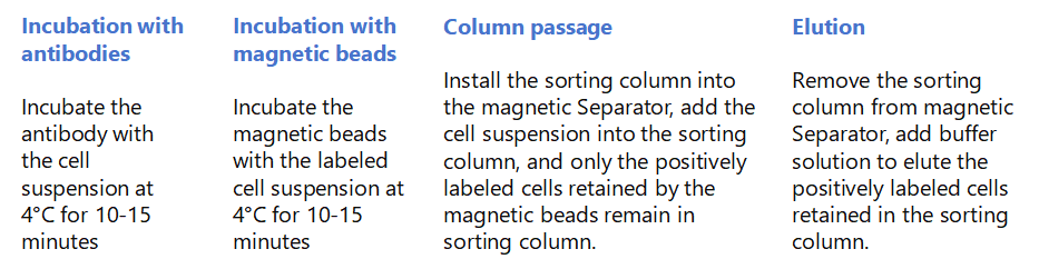 The process of column-based sorting