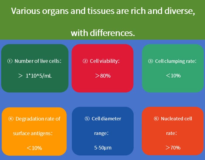 Various organs and tissues are rich and diverse, with differences.
