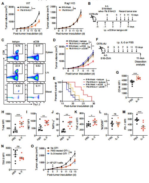 IL-3 Indirectly Enhances CTLs' Anti-Tumor Activity