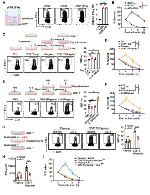 IL-3-Mediated Crosstalk Between T Cells and Non-B/T Cells Enhances CD8+ T Cells' Anti-Tumor Activity