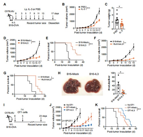  IL-3 Supplementation Effectively Controls Tumor Growth