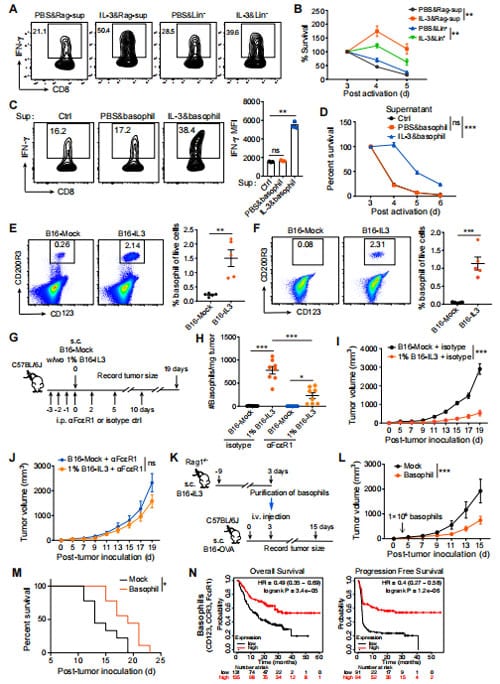 IL3-Activated Eosinophils Limit Tumor Growth and Enhance Anti-Tumor Immunity