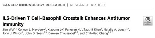 IL3-Driven-T-Cell–Basophil-Crosstalk-Enhances-Antitumor-Immunity