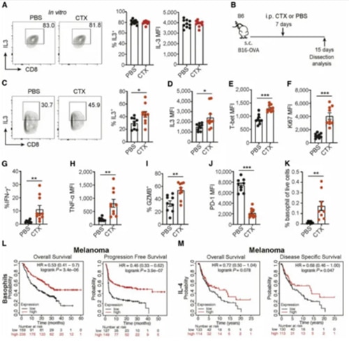 The Translational Potential of IL3-Mediated CTLs-Basophil Crosstalk