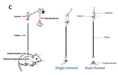 Tired of Injecting Your Animal Everyday? Here are 3 Solutions for Drug ...