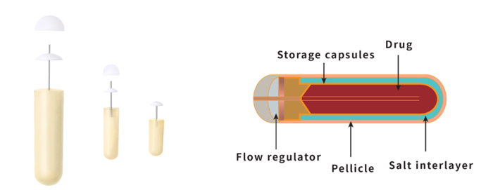 Osmotic-Pump