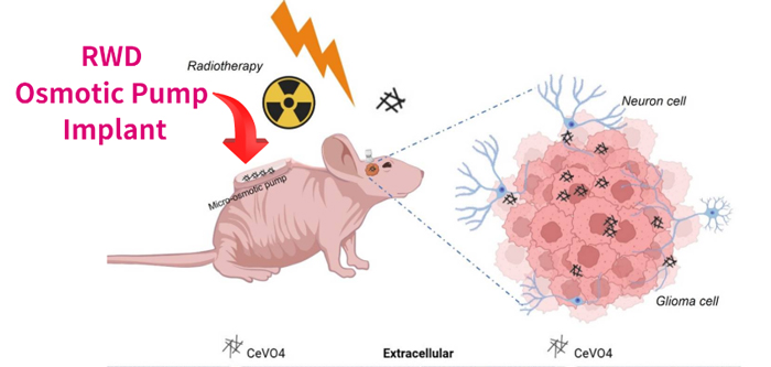 RWD-Osmotic-Pump-Implant