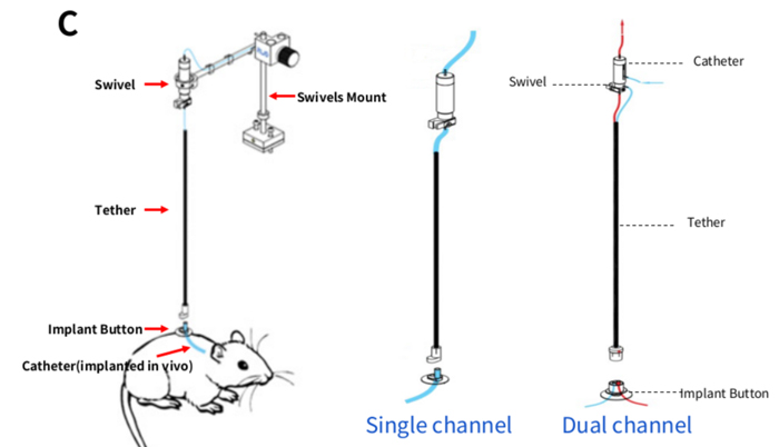 drug-delivery-and-blood-sampling-experiments
