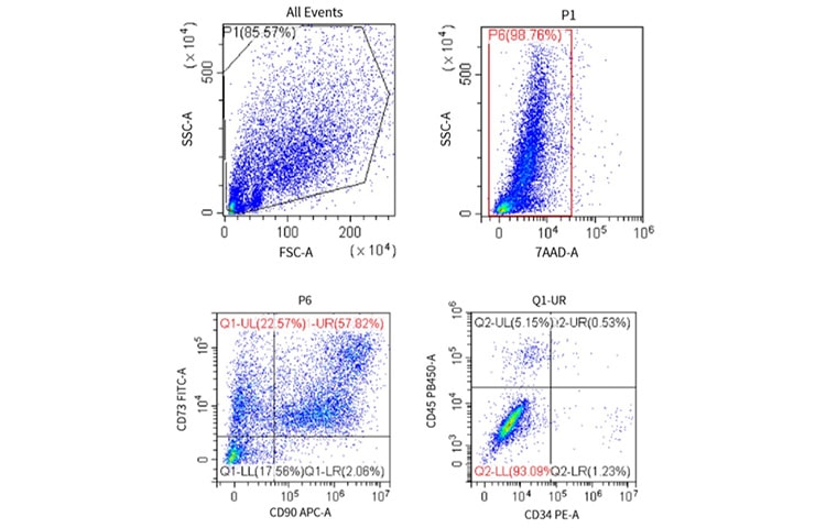 Flow cytometry analysis