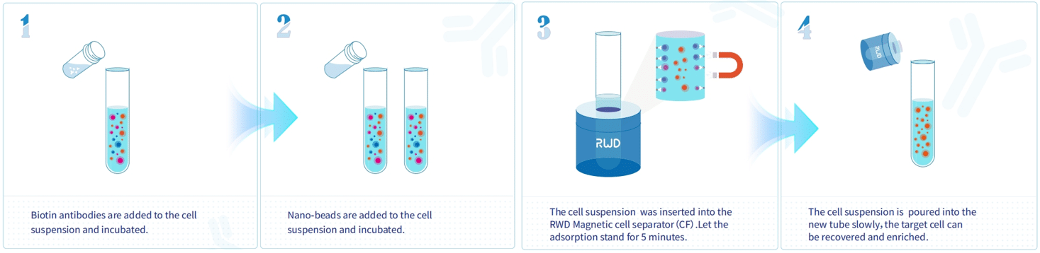 Nano-Beads-Cell-Separation-Platform-Column-Free-Workflow