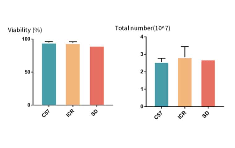 Perform the two-step perfusion method on mice and rats of different strains respectively