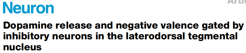 Using fiber photometry to detect dynamic changes in calcium signaling in LDT (GABA) neurons of awake mice under different sensory stimuli