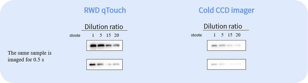 qTouch-Western-Blot-imager-Versatile-exposure-mode