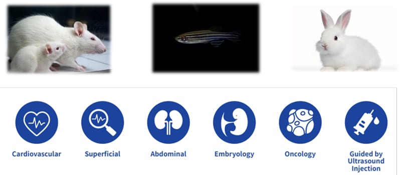 High-Frequency-Small-Animal-Ultrasound-Imaging-System-application