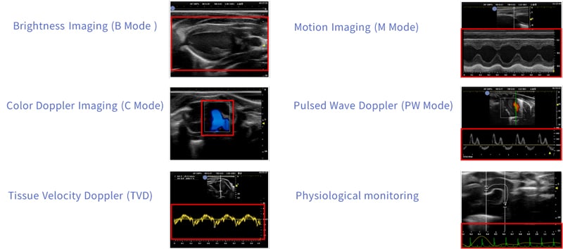 High-Frequency-Small-Animal-Ultrasound-Imaging-System-features