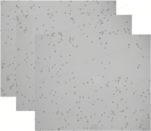 Cell Counter Selection Guide