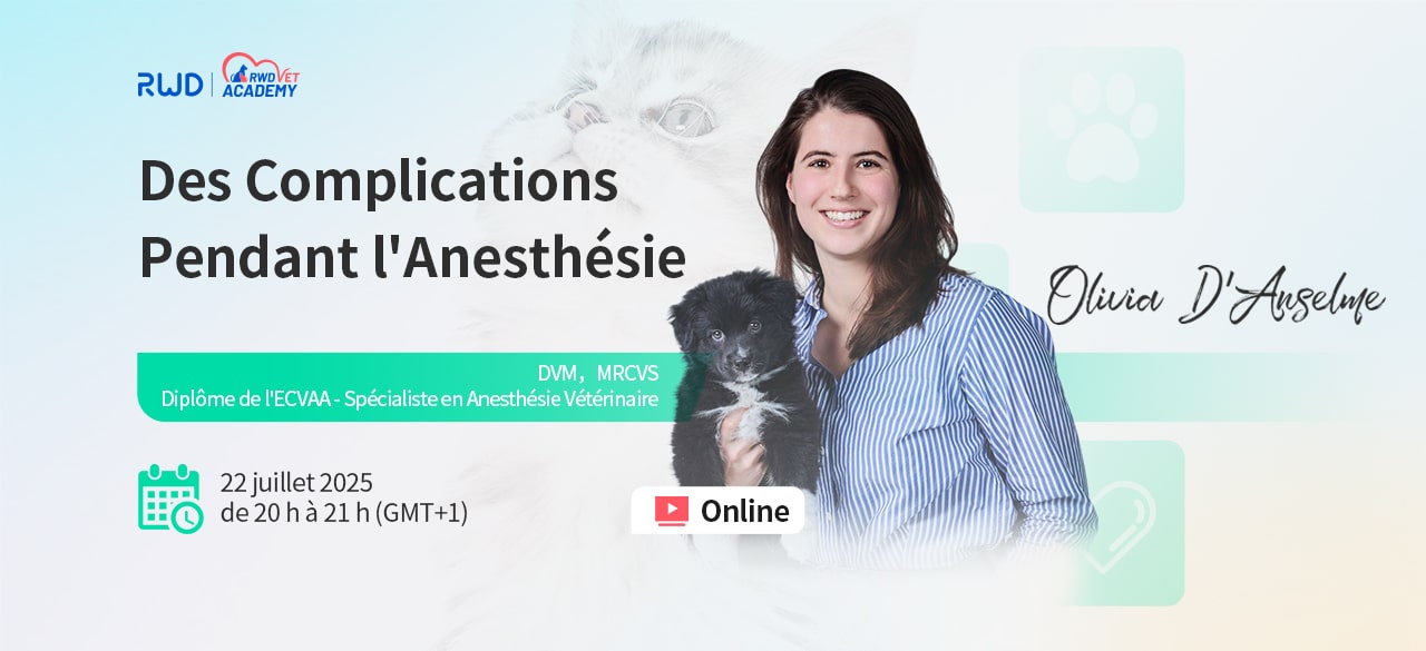 Inscrivez-vous au webinaire sur l'anesthésie de la RWD Vet Academy qui se tiendra le 22 juillet