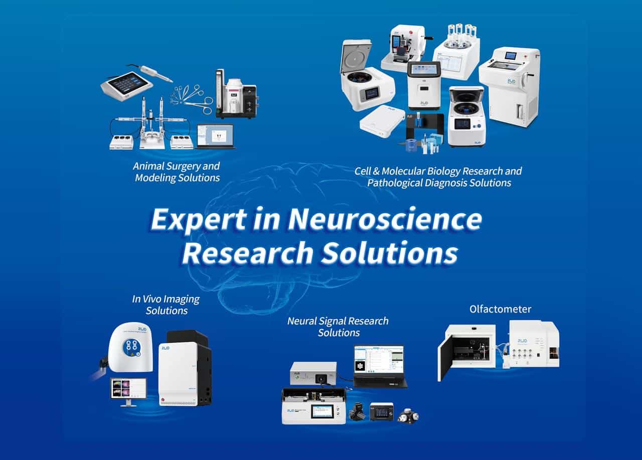 SfN 2025 Exhibition